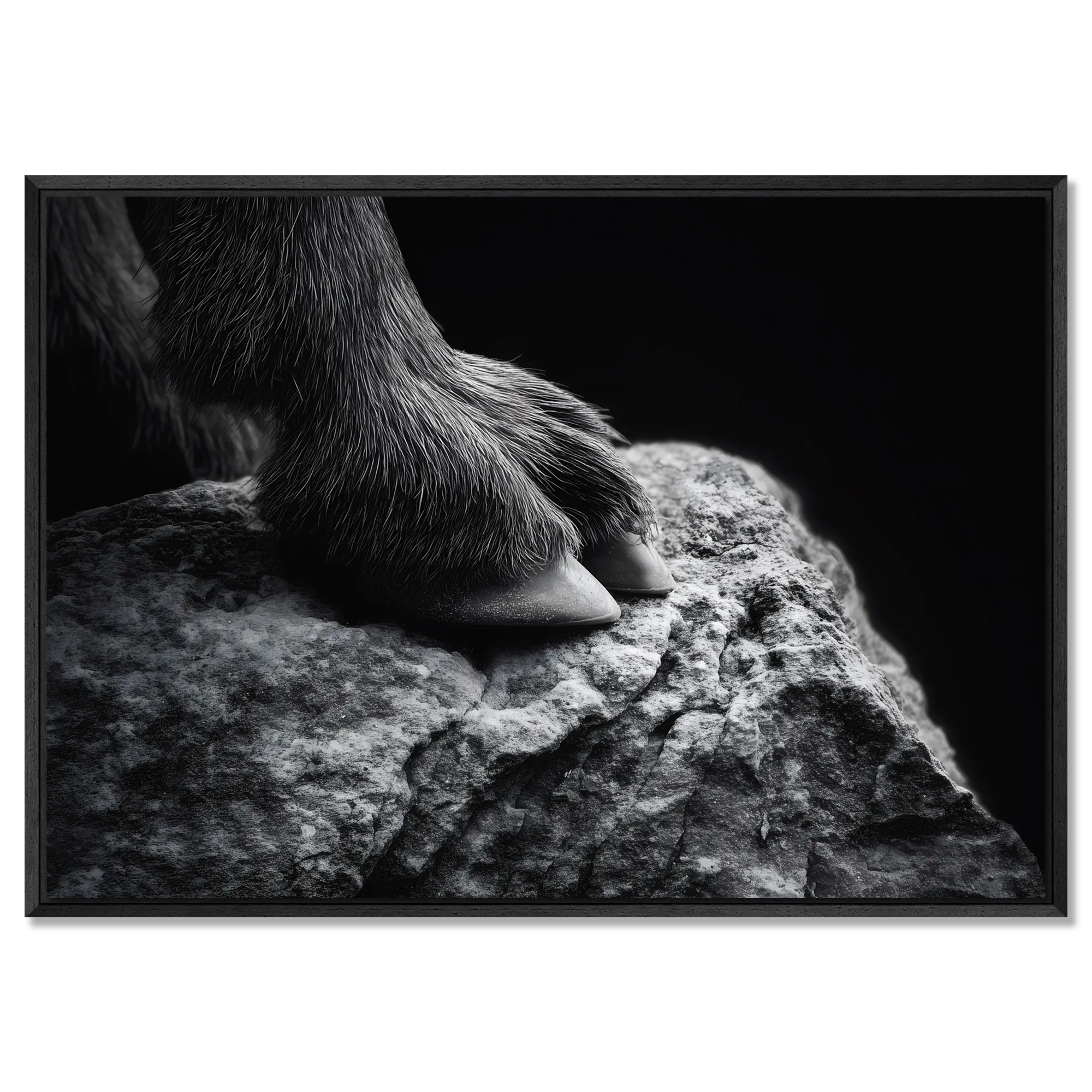 Footing of a Goat – Alu-Dibond wall art featuring a close-up of a mountain goat's hooves on stone.
