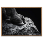 Footing of a Goat – Alu-Dibond wall art featuring a goat's hoof on rugged stone, showcasing details of nature's stability.