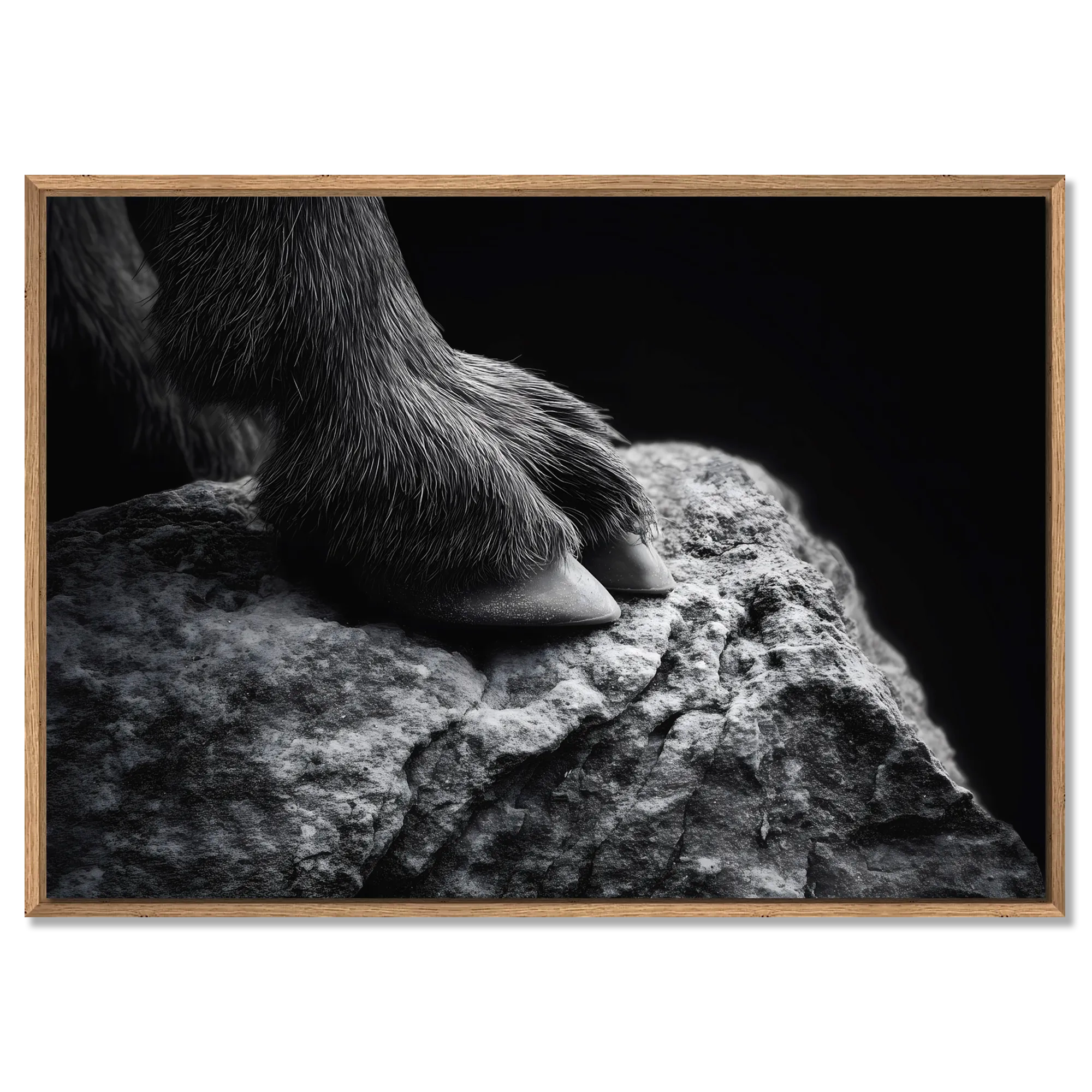 Footing of a Goat – Alu-Dibond wall art featuring a goat's hoof on rugged stone, showcasing details of nature's stability.