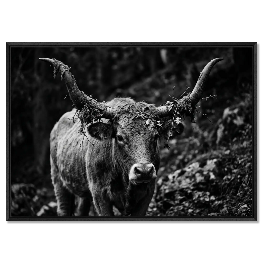 Forest Cow