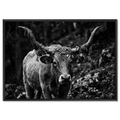 Forest Cow