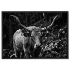 Forest Cow
