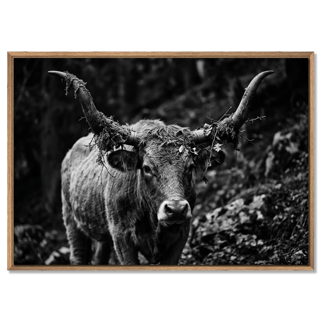 Forest Cow
