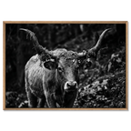 Forest Cow