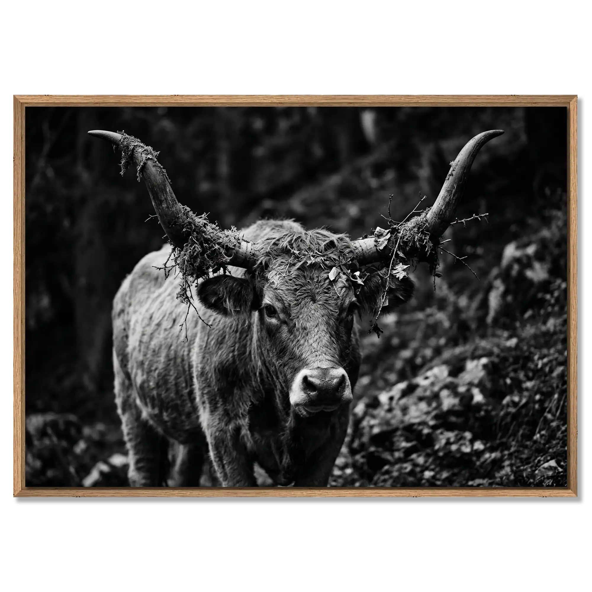 Forest Cow