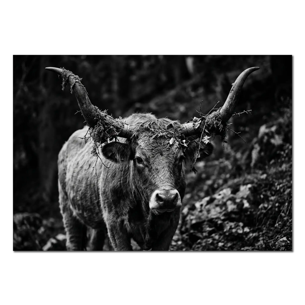 Forest Cow