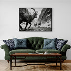 Gaze of Ibex – Alu-Dibond wall art