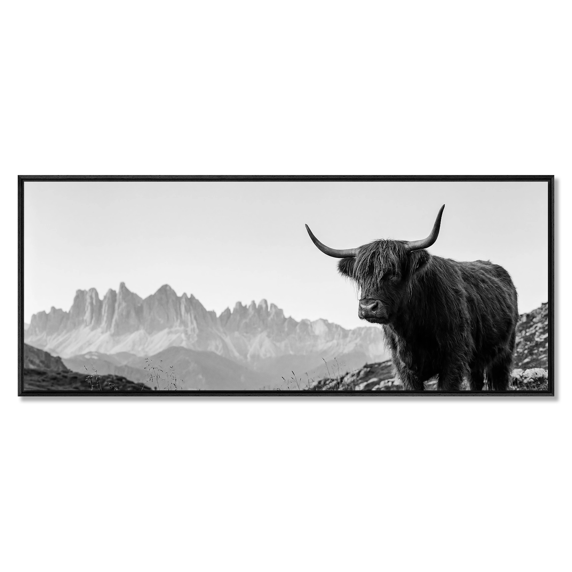Highland Cow Peaks – Alu-Dibond wall art featuring a Highland cow in a black-and-white alpine landscape.