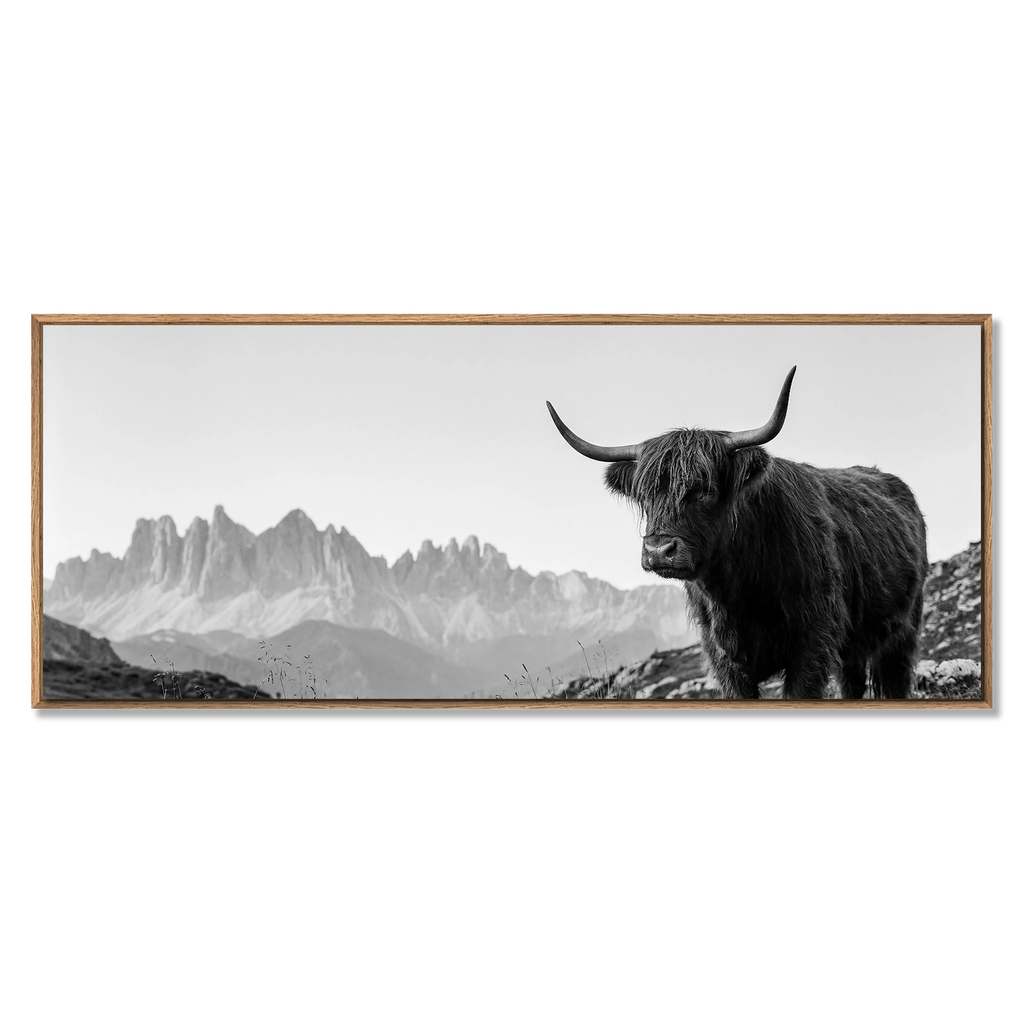 Highland Cow Peaks – Alu-Dibond wall art featuring a black-and-white Highland cow in an alpine landscape.