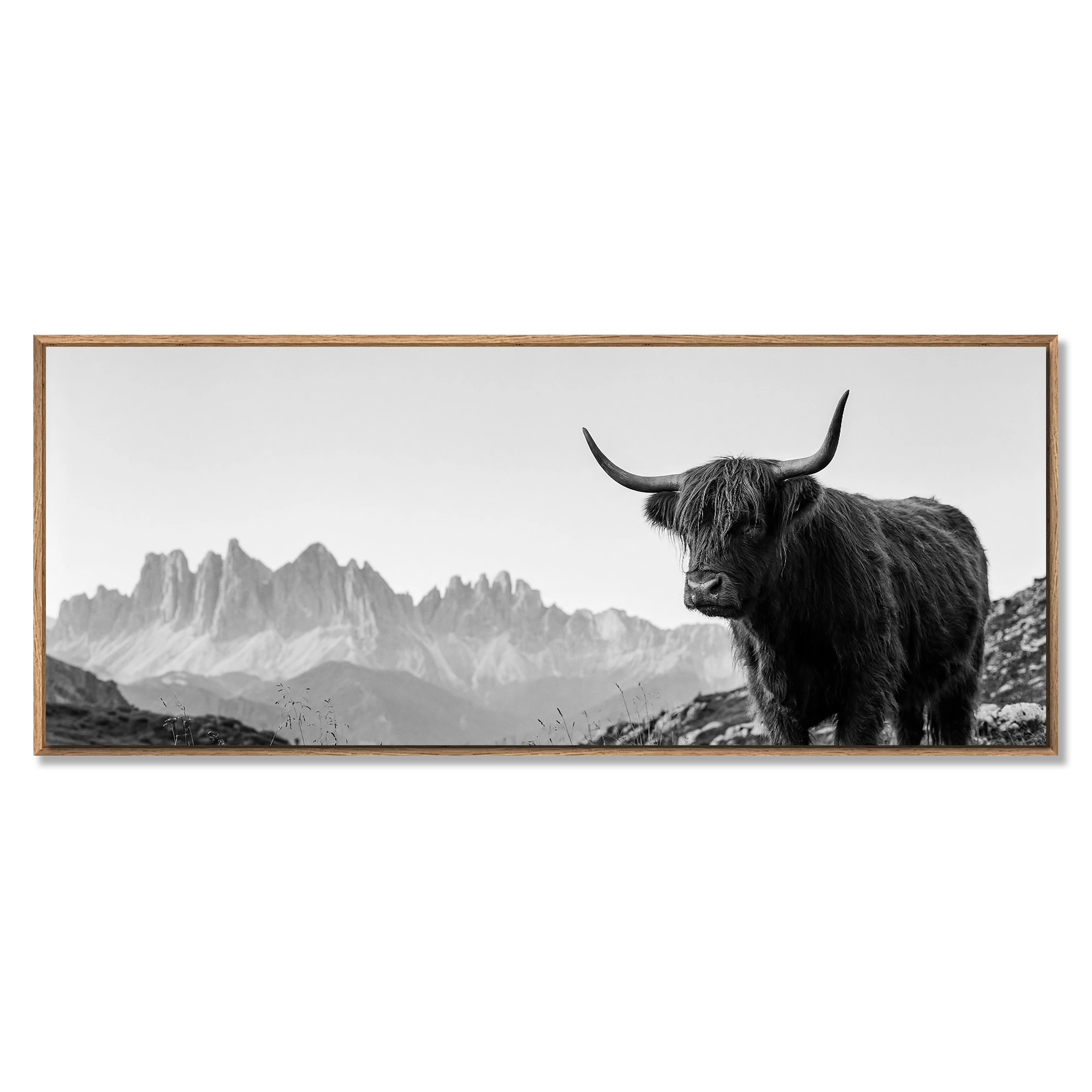 Highland Cow Peaks – Alu-Dibond wall art featuring a black-and-white Highland cow in an alpine landscape.