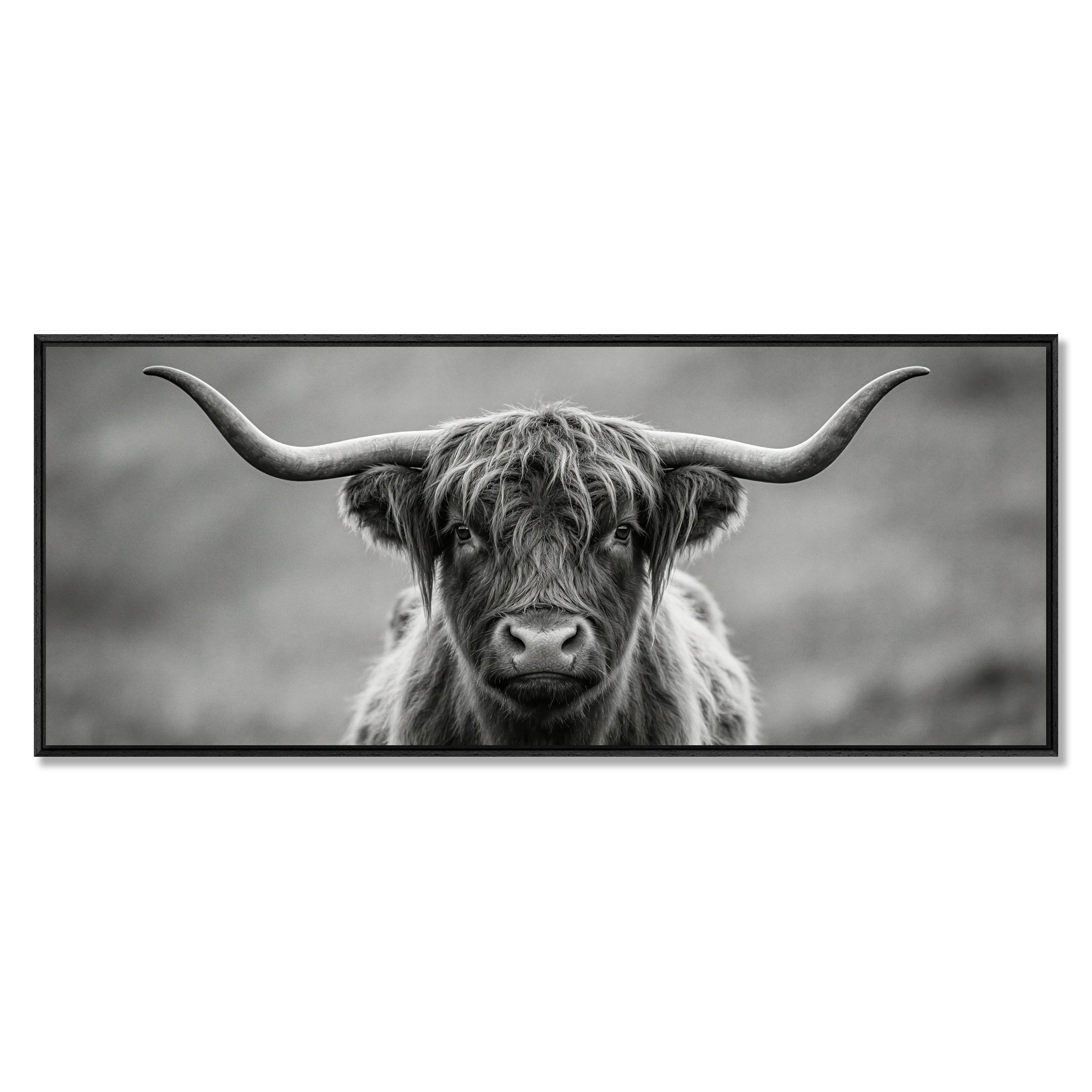 Highland Guardian – Alu-Dibond wall art featuring a Highland cow in striking black-and-white.
