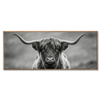 Highland Guardian – Alu-Dibond wall art featuring a Highland cow in black-and-white, showcasing its long horns.