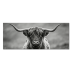 Highland Guardian – Alu-Dibond wall art featuring a striking Highland cow in black and white.