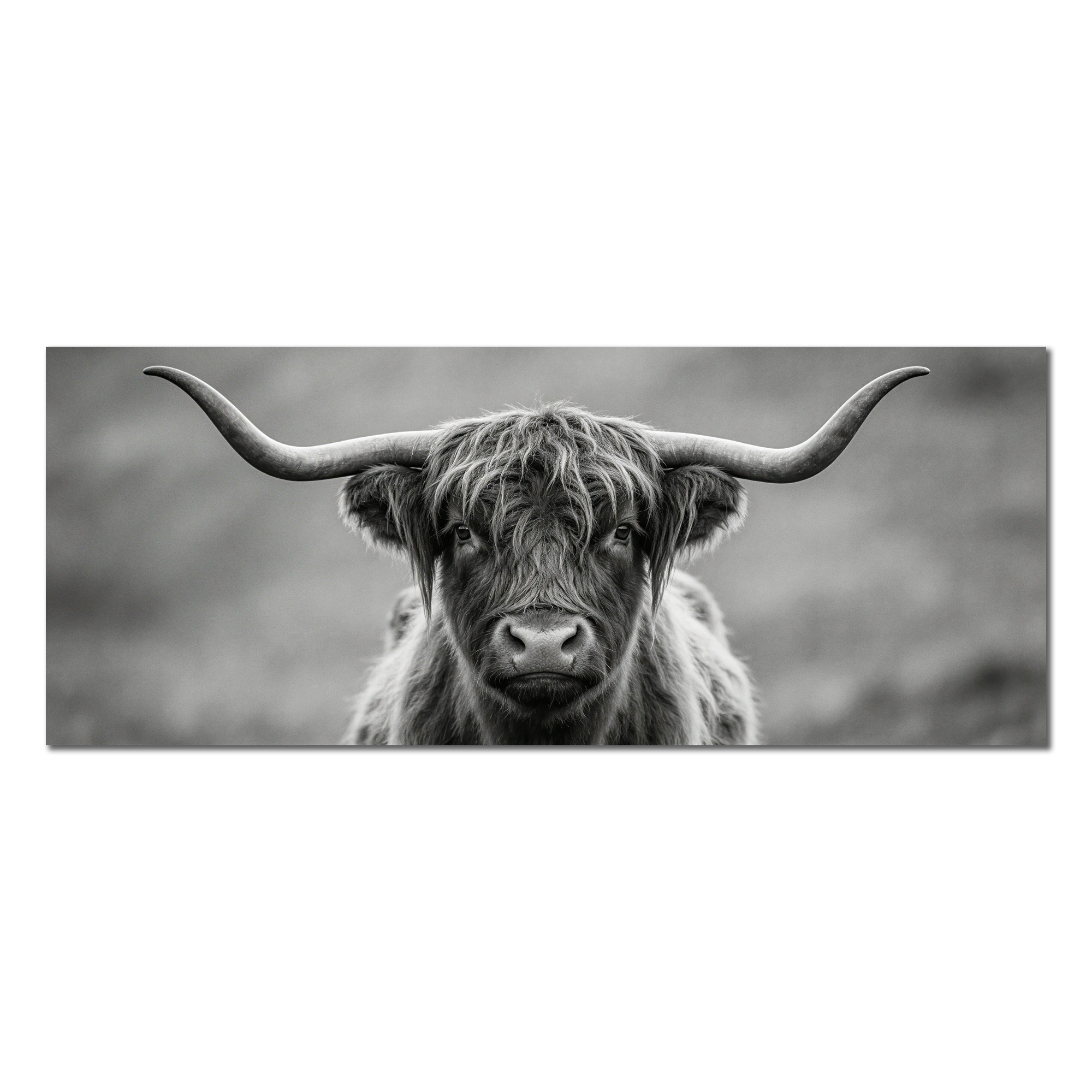 Highland Guardian – Alu-Dibond wall art featuring a striking Highland cow in black and white.