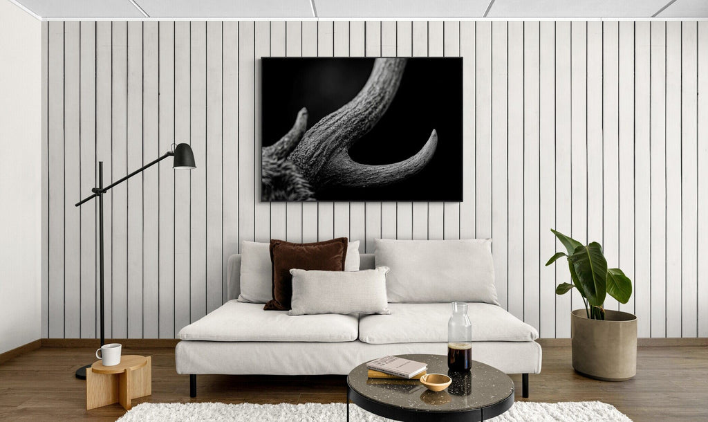 Horn of an Alpine Animal – Alu-Dibond wall art