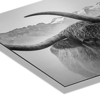 Horned Alpine Duo – Alu-Dibond wall art featuring a close-up of a horned cow in a serene mountain landscape.