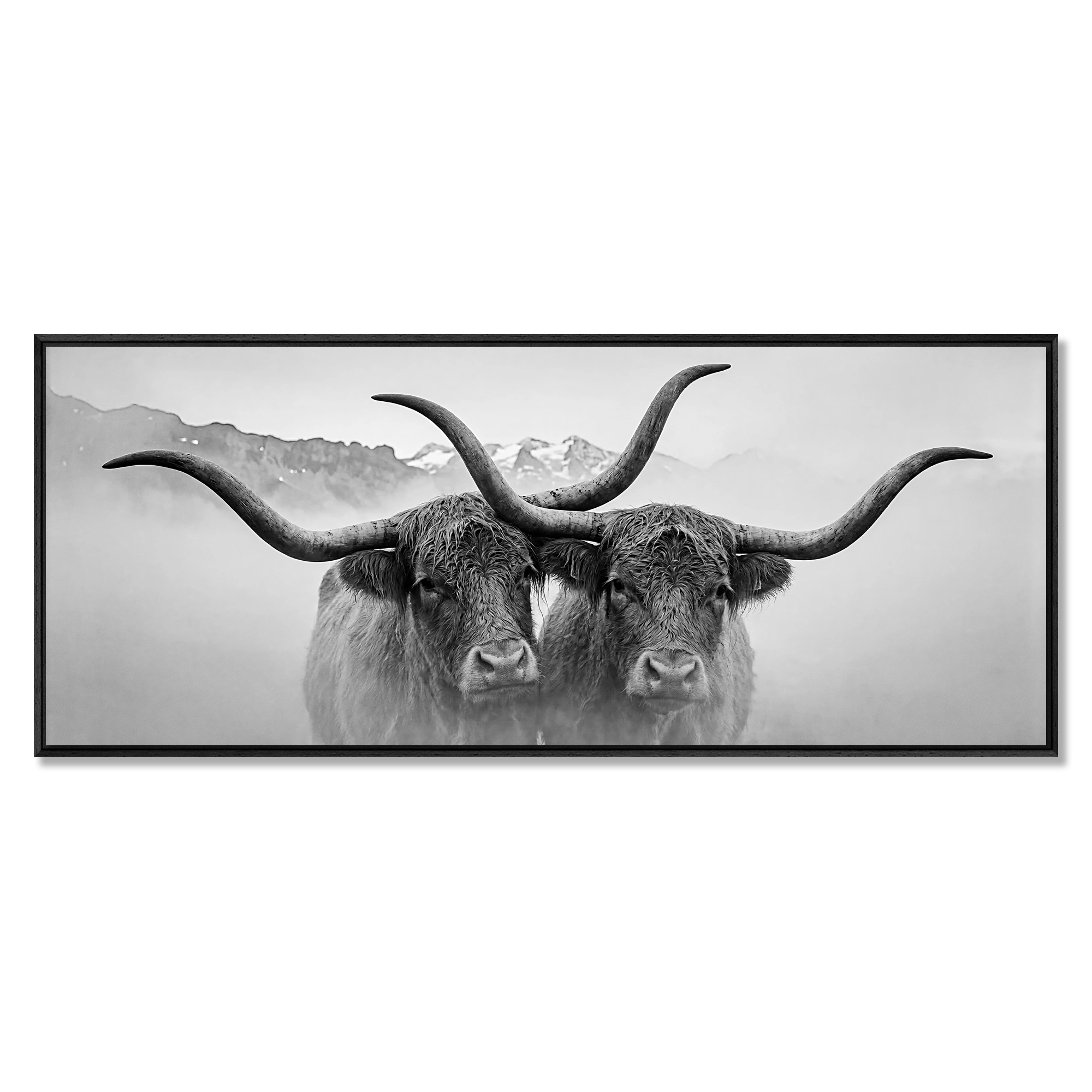 Horned Alpine Duo – Alu-Dibond wall art featuring two horned cows in a serene mountain landscape.