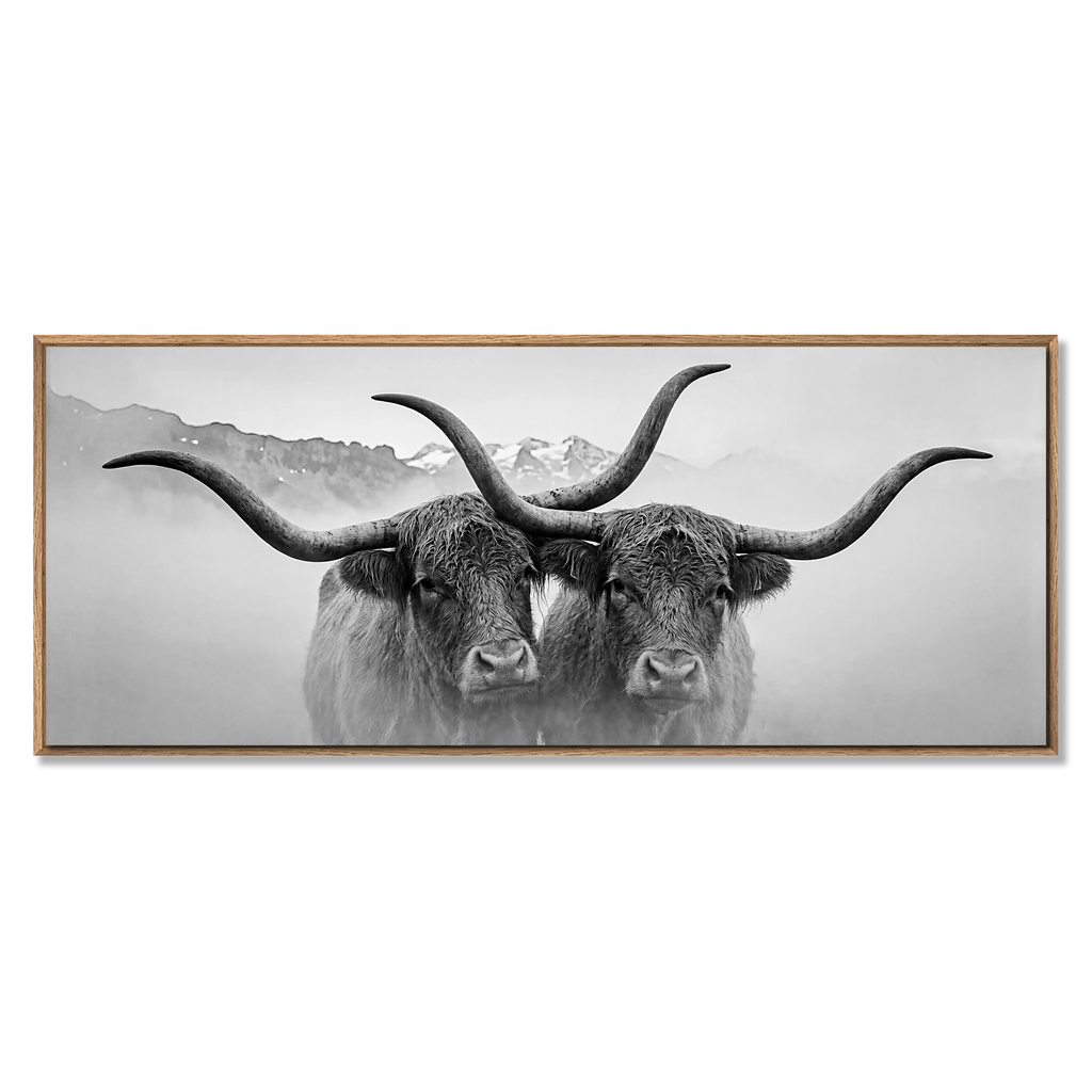 Horned Alpine Duo – Alu-Dibond wall art showcasing two horned cows in a misty mountain landscape.