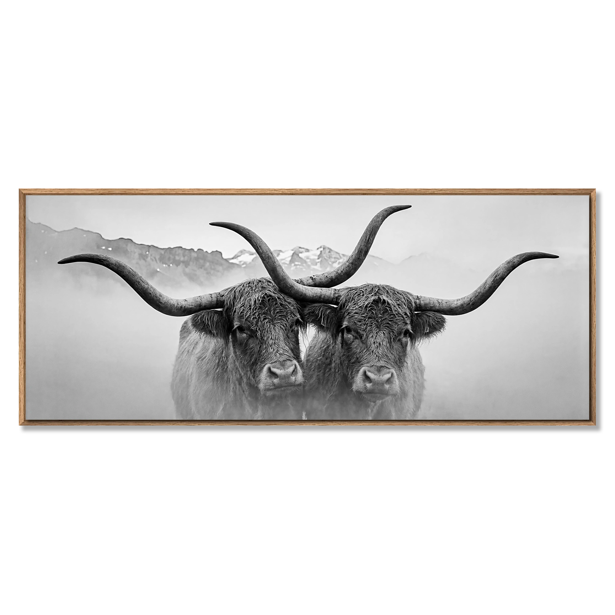 Horned Alpine Duo – Alu-Dibond wall art showcasing two horned cows in a misty mountain landscape.