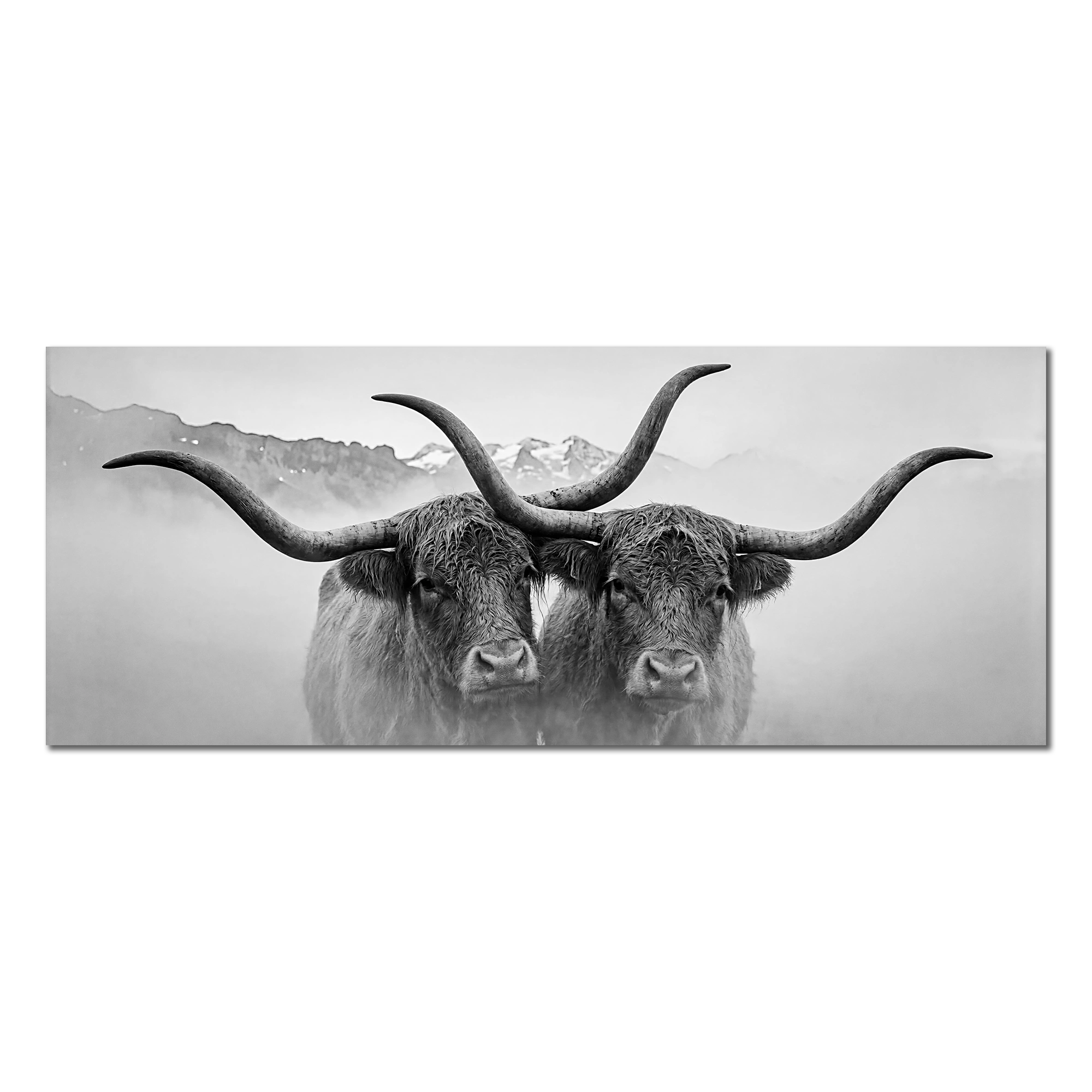 Horned Alpine Duo – Alu-Dibond wall art featuring two horned cows in a misty mountain landscape.