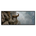 Steinbock am Rande der Schlucht