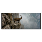 Steinbock am Rande der Schlucht