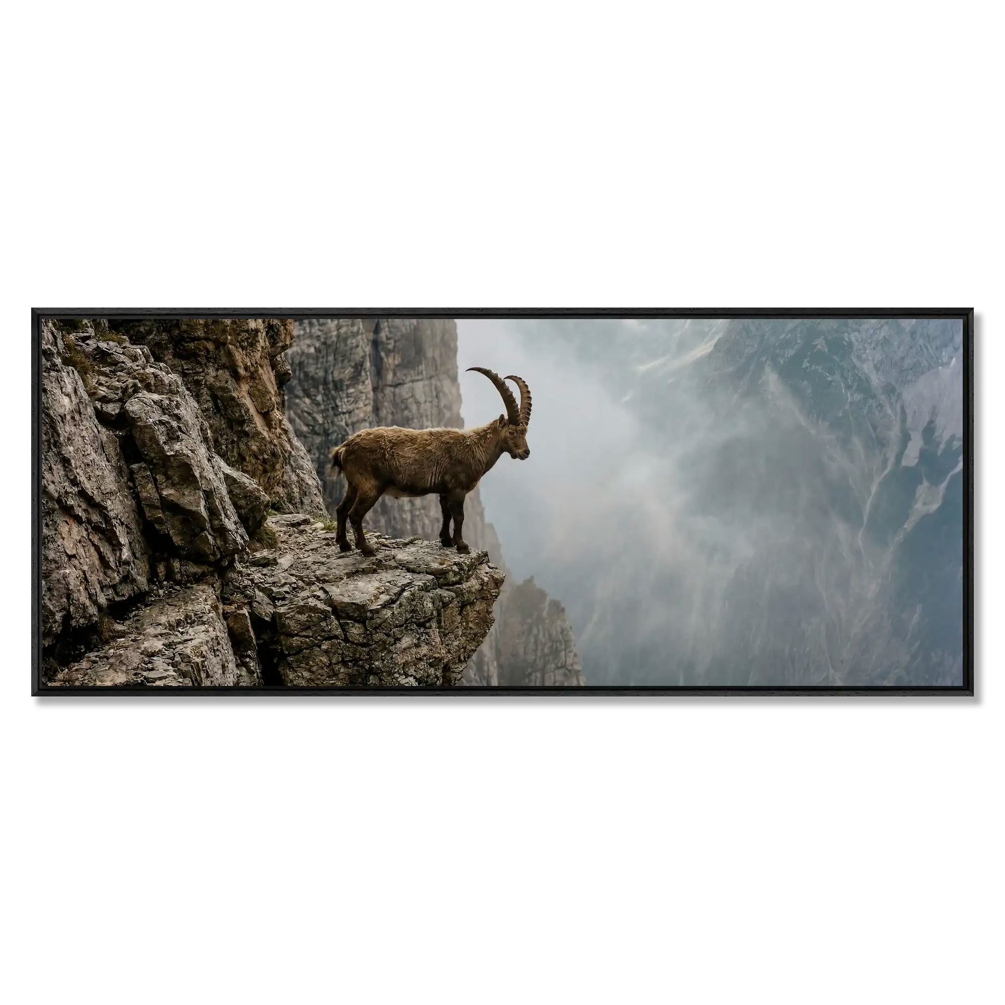 Ibex at the Edge of the Gorge
