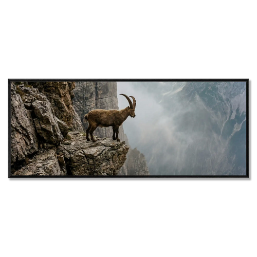Ibex at the Edge of the Gorge, large alpine wall art XXL featuring an ibex on a rocky ledge with mountain mist.