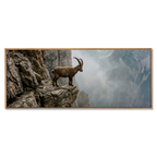 Steinbock am Rande der Schlucht