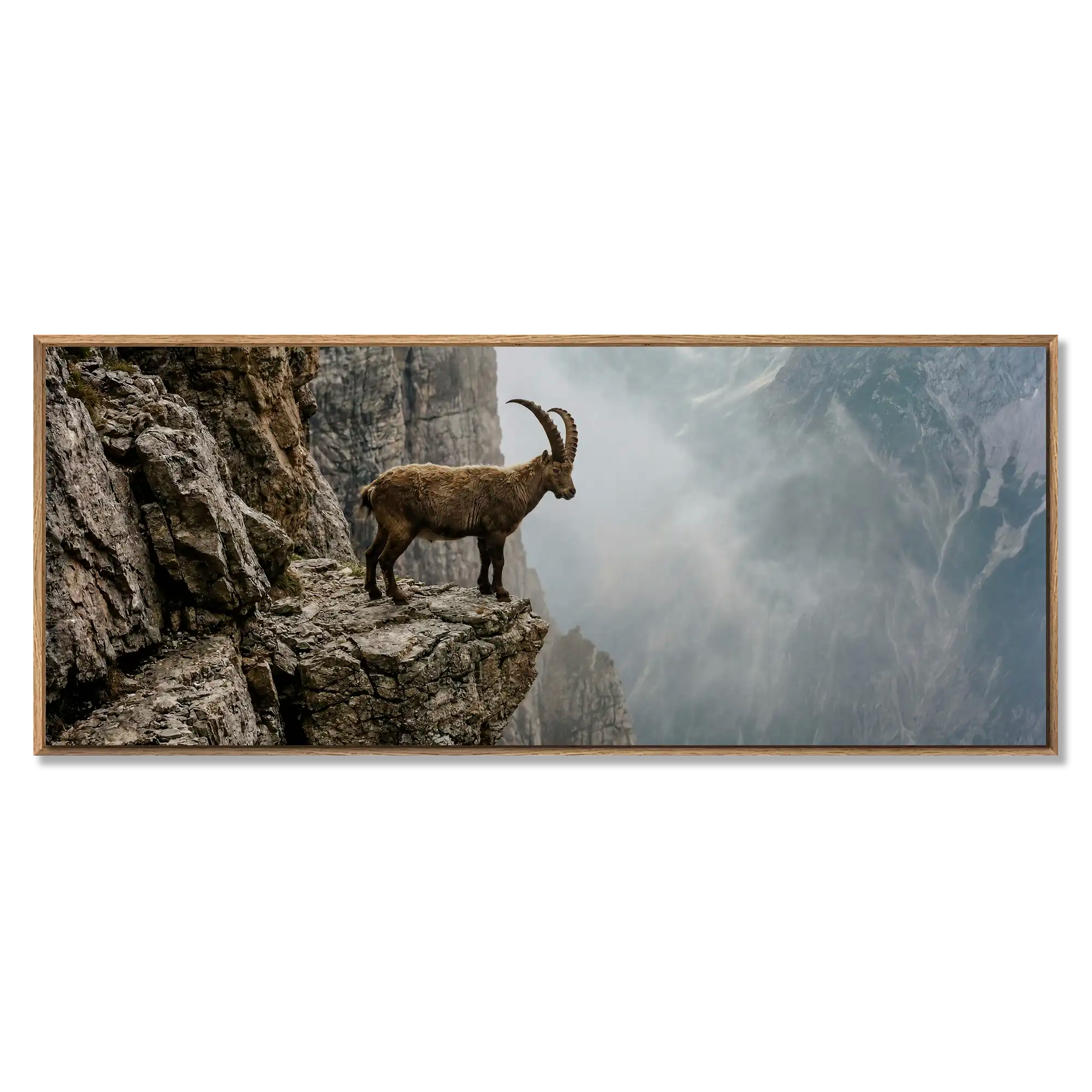 Ibex at the Edge of the Gorge