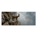 Ibex at the Edge of the Gorge - large alpine wall art XXL featuring an ibex on a rocky ledge overlooking a mountain gorge.