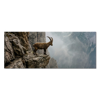 Steinbock am Rande der Schlucht