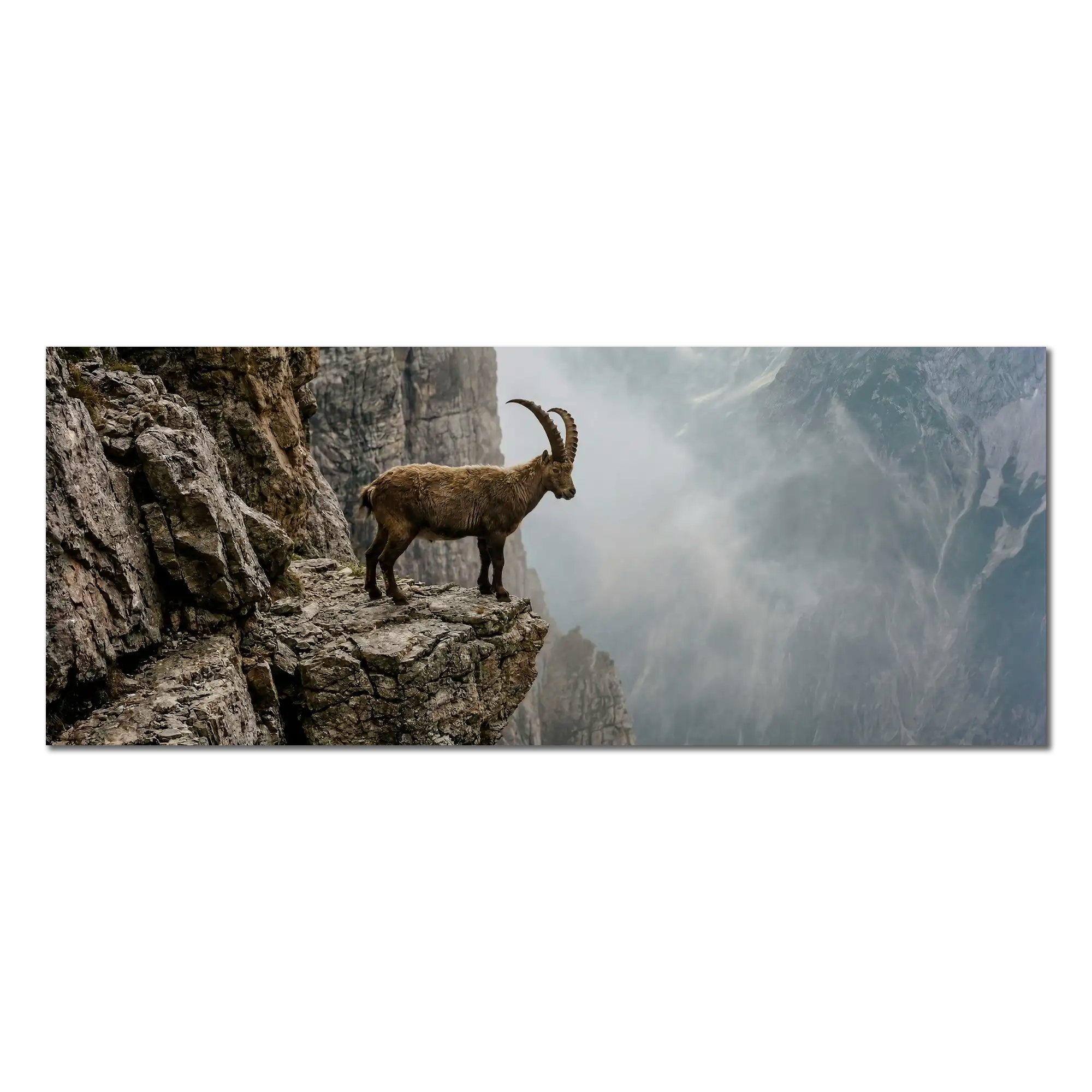 Ibex at the Edge of the Gorge