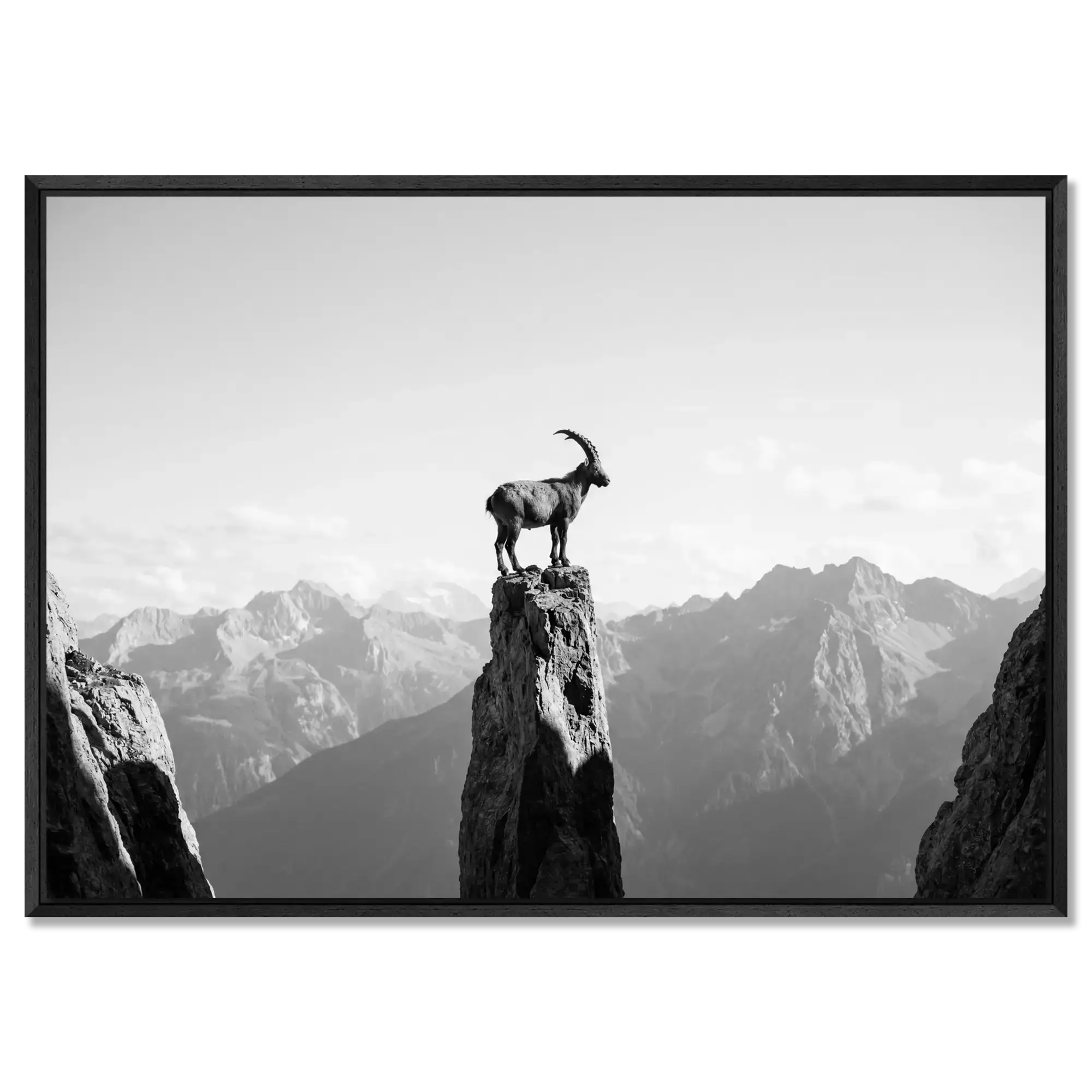 Ibex on the Edge of Silence
