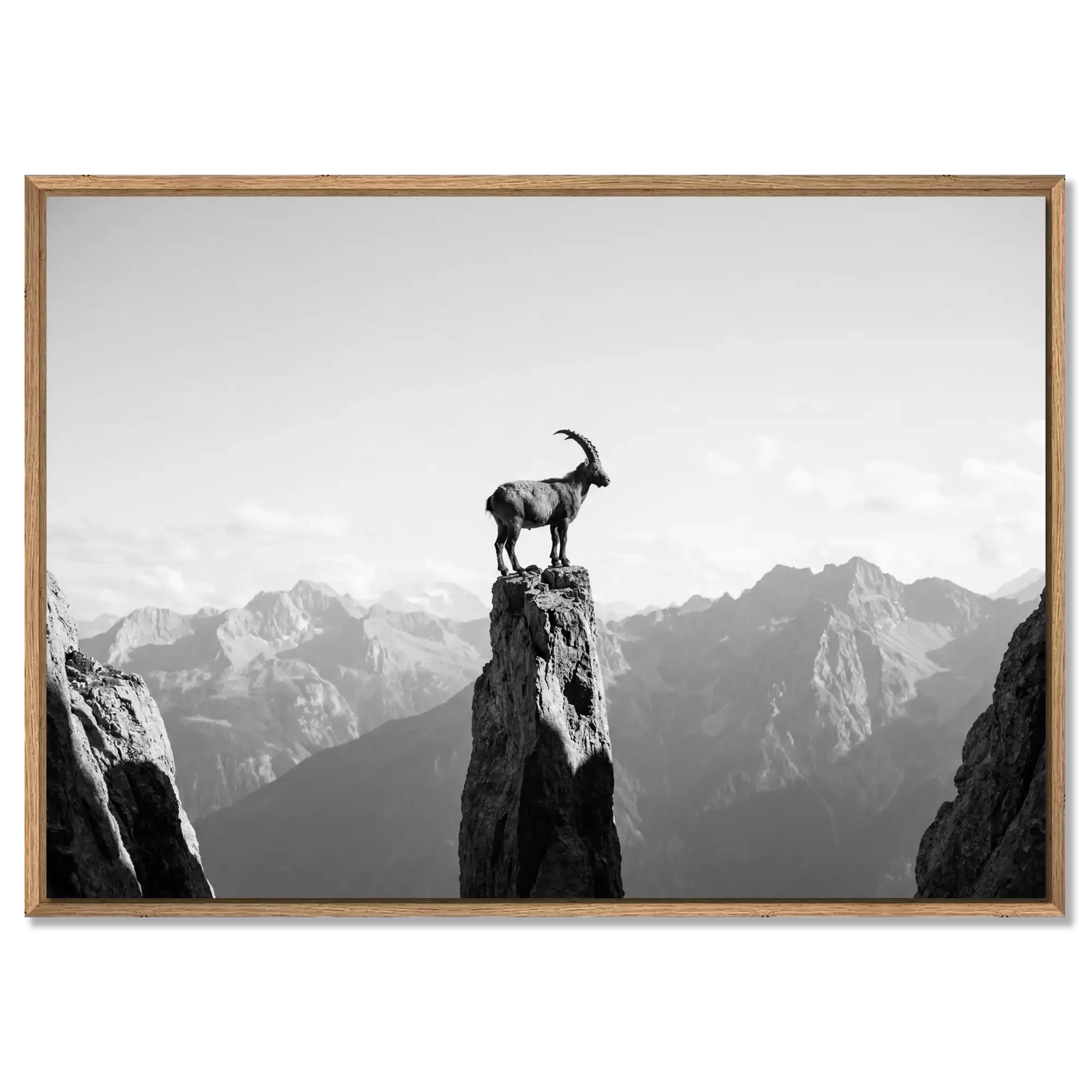 Ibex on the Edge of Silence