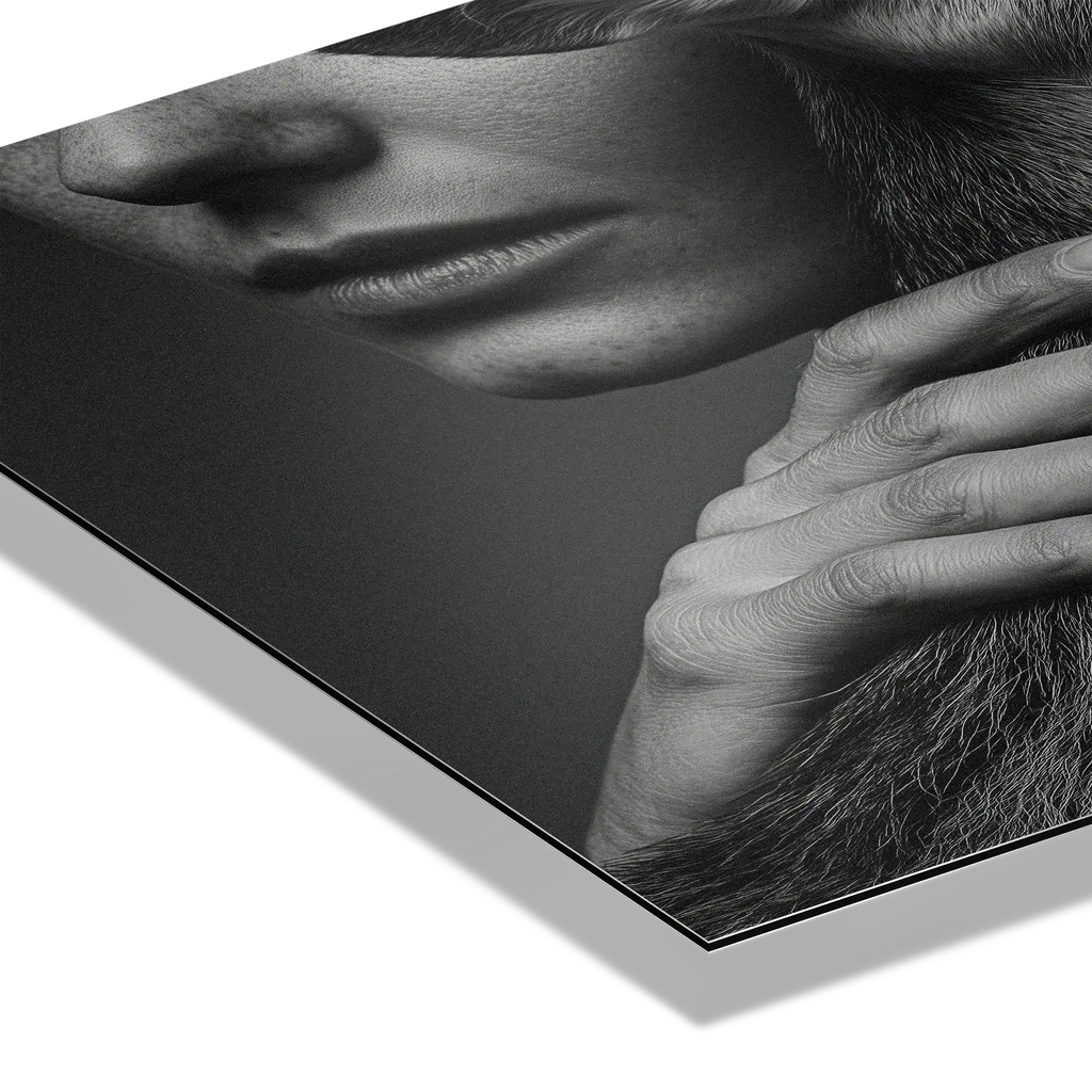 Intimacy with an Alpine Deer – Alu-Dibond wall art showcasing a human hand gently touching deer fur.
