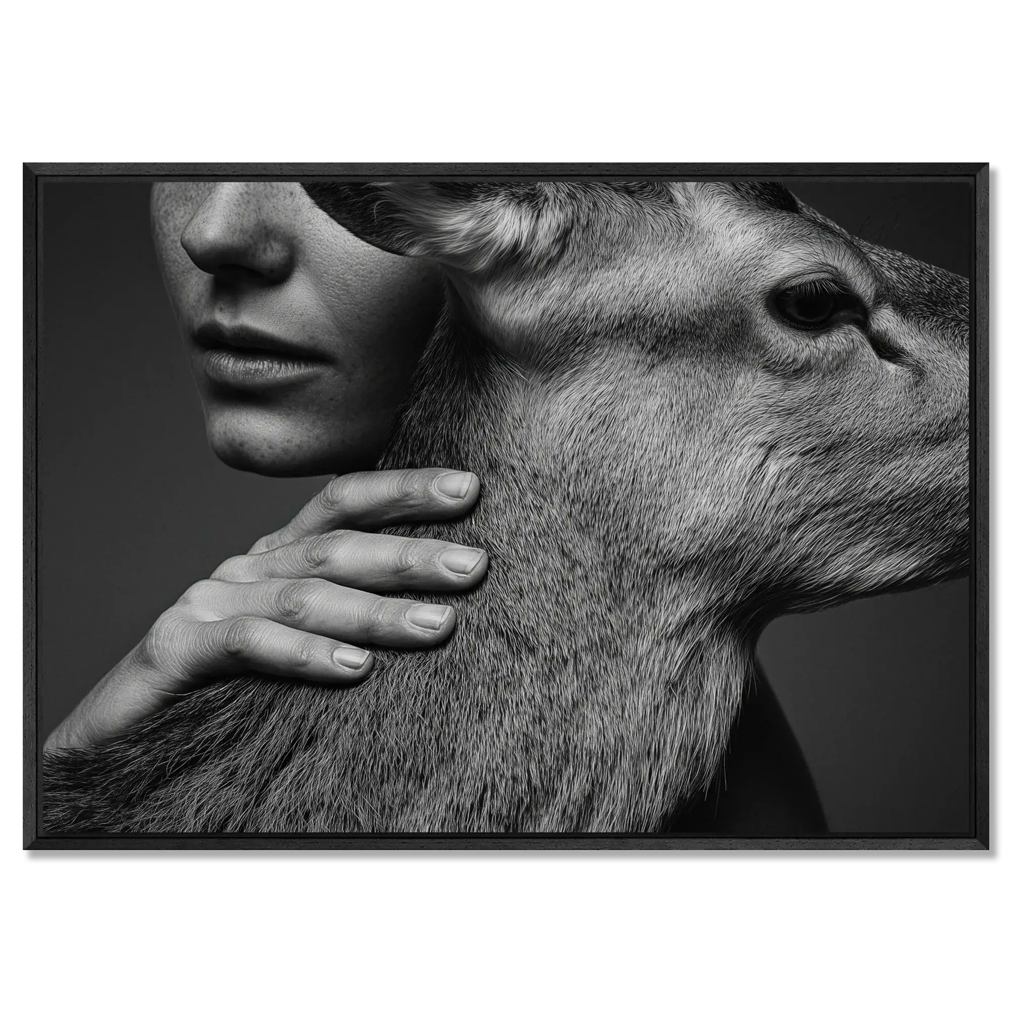 Intimacy with an Alpine Deer – Alu-Dibond wall art featuring a human and deer in a moment of trust.