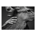 Intimacy with an Alpine Deer – Alu-Dibond wall art: a close moment between human and deer, showcasing trust and calm.