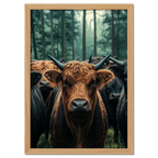 Majesty Among Trees - Poster featuring alpine cows in a forest with deep brown and black tones and soft green hues.