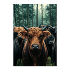 Majesty Among Trees - Poster featuring a close view of alpine cows in a serene forest setting.