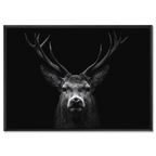 Majesté d'un cerf - Tableaux Alu-Dibond