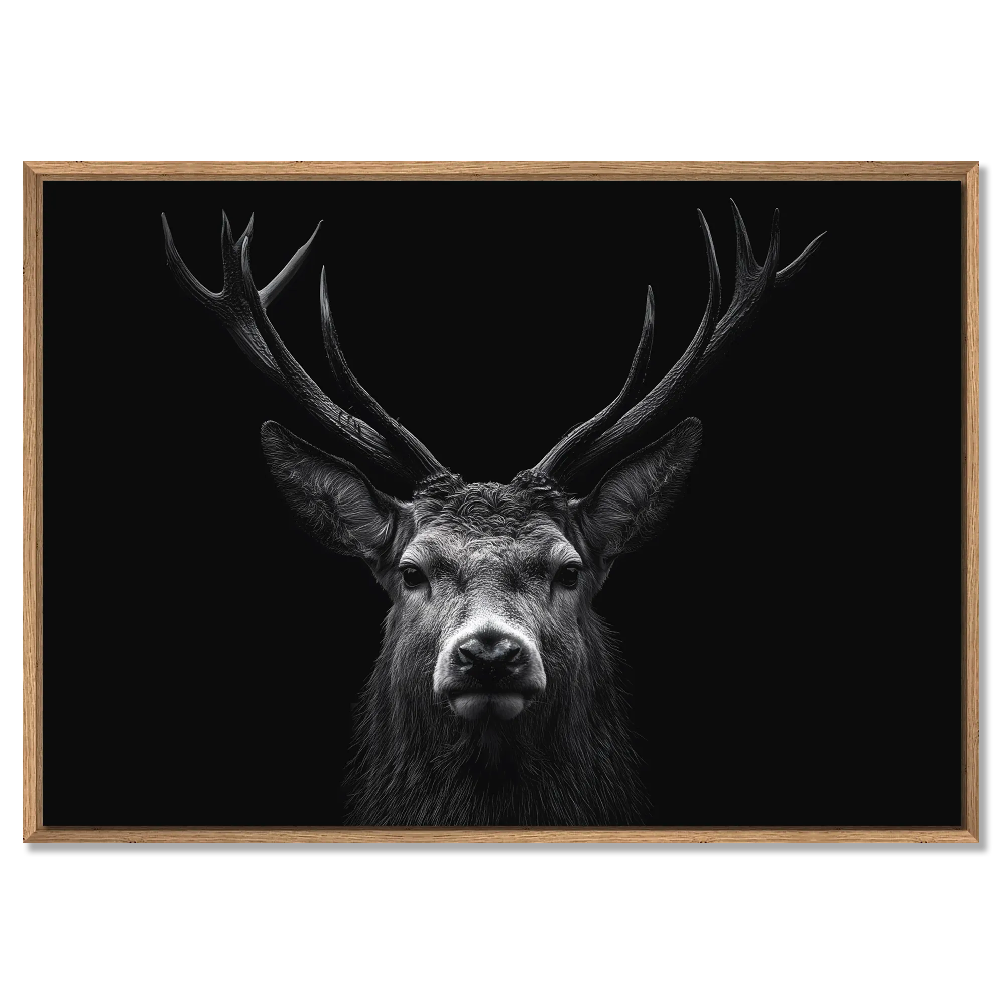 Majesté d'un cerf - Tableaux Alu-Dibond