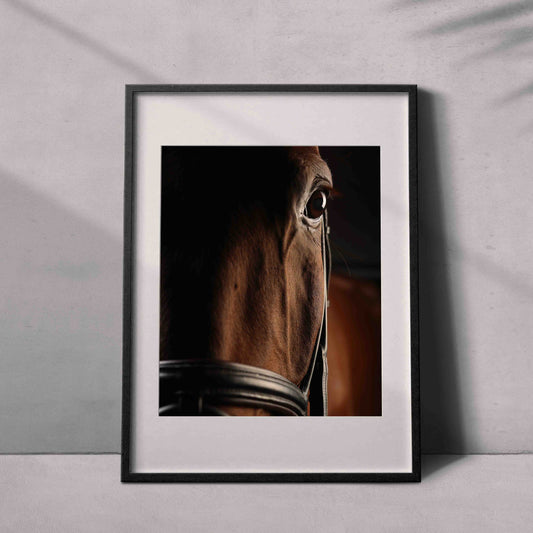 Portrait of a horse #03 - Limited Edition - ArtDarts poster