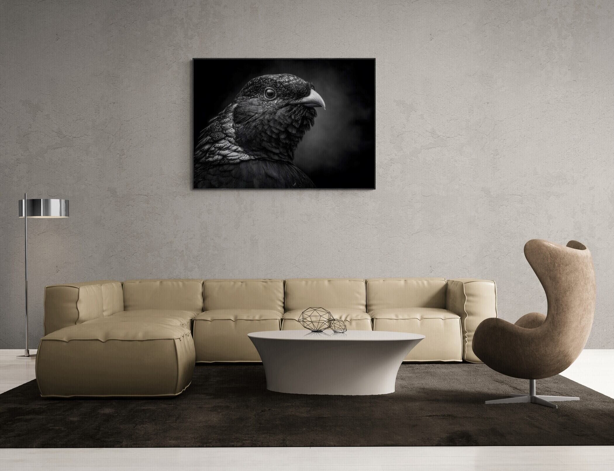 Geheimnis eines Vogels – Wandbild aus Alu-Dibond