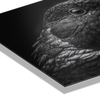 Geheimnis eines Vogels – Wandbild aus Alu-Dibond