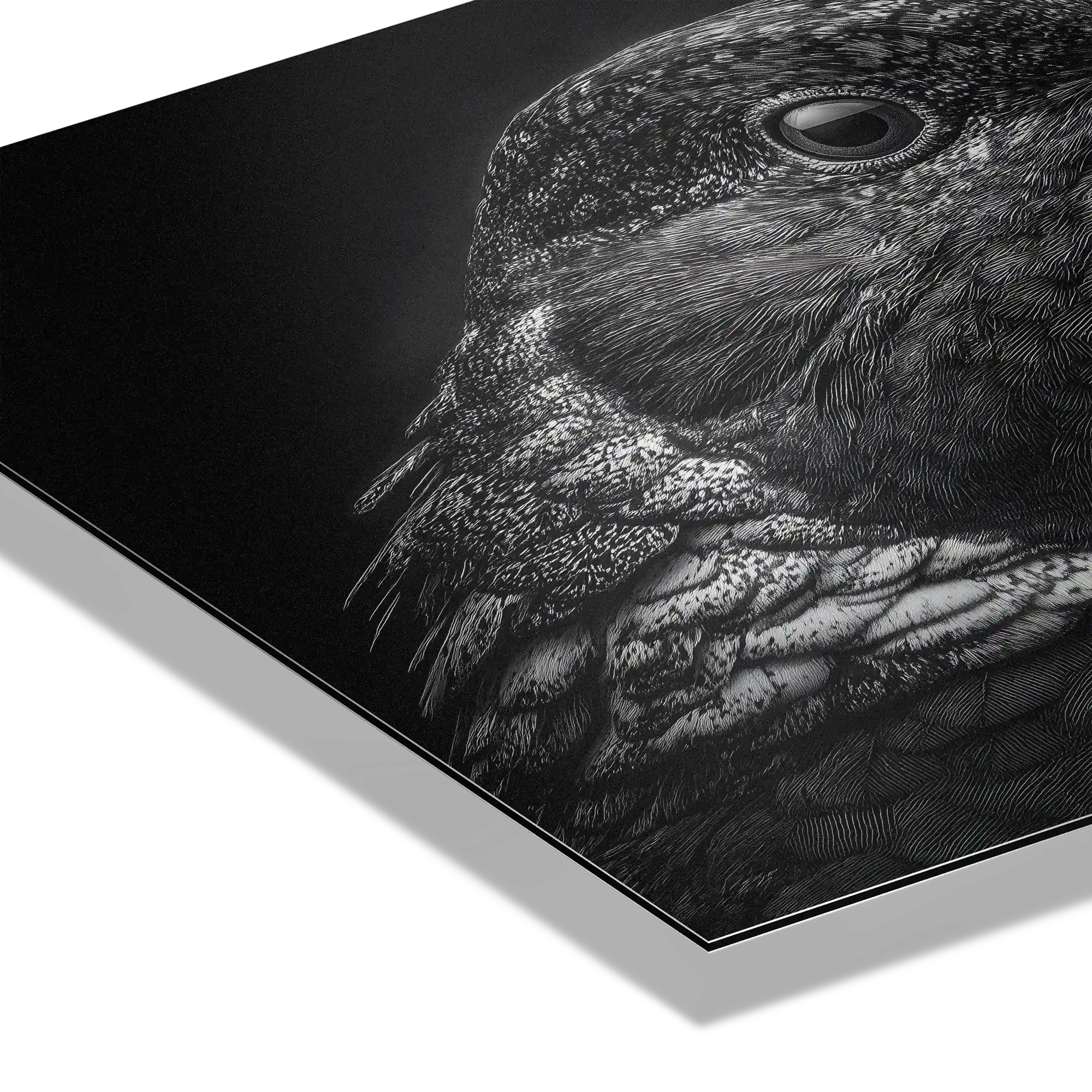 Mystère d'un oiseau - Tableau en Alu-Dibond