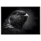 Geheimnis eines Vogels – Wandbild aus Alu-Dibond