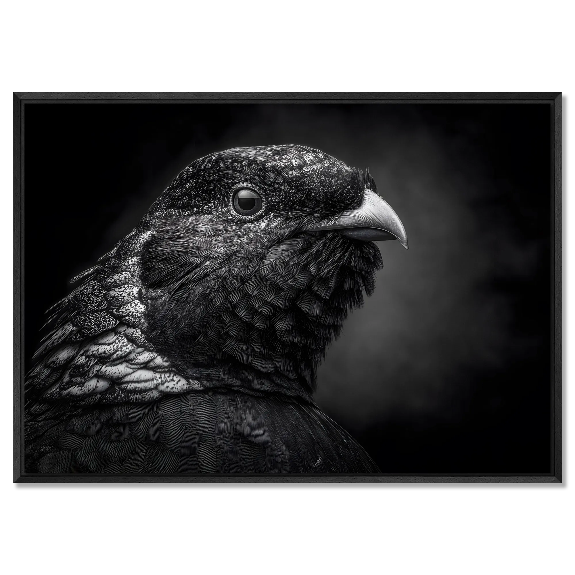 Mystère d'un oiseau - Tableau en Alu-Dibond