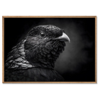 Geheimnis eines Vogels – Wandbild aus Alu-Dibond