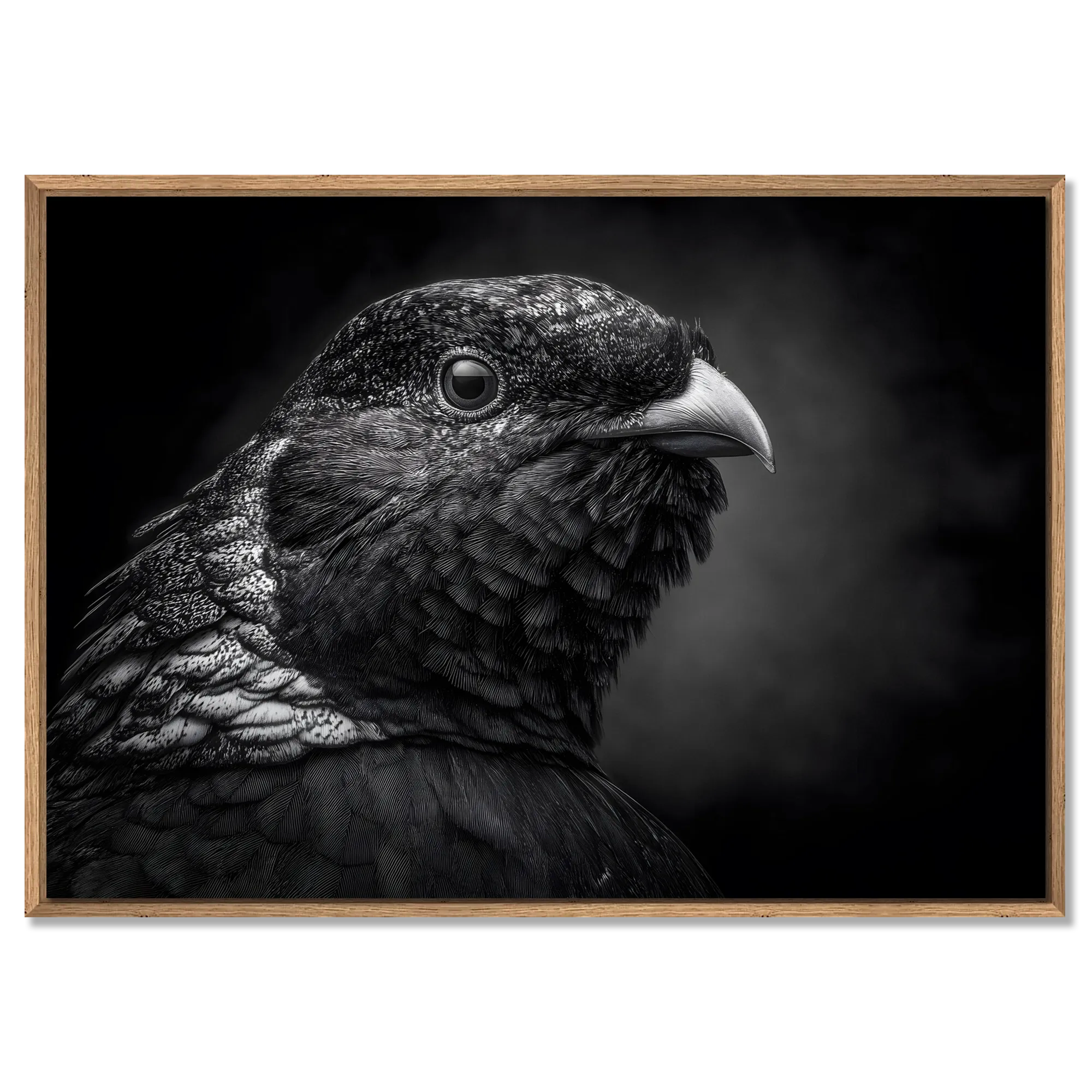 Mystère d'un oiseau - Tableau en Alu-Dibond